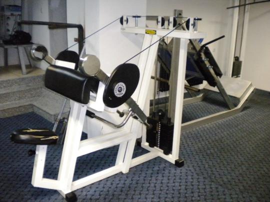 fitnes stari grad.JPG